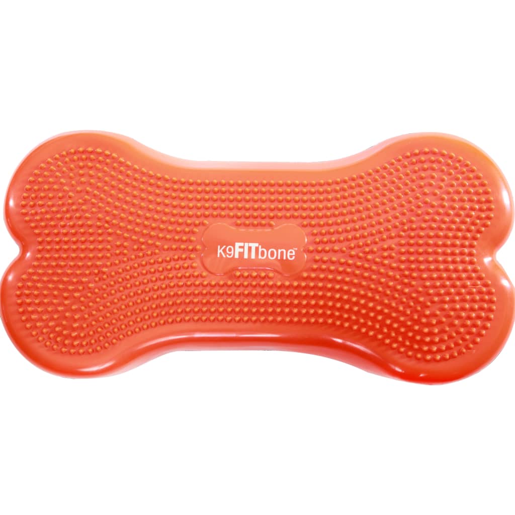 Balansplatta för husdjur K9FITbone 58x29x10 cm orange