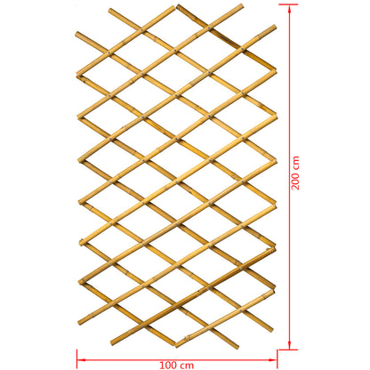 Trädgårdsspaljé 100x200 cm Bambu 6040722