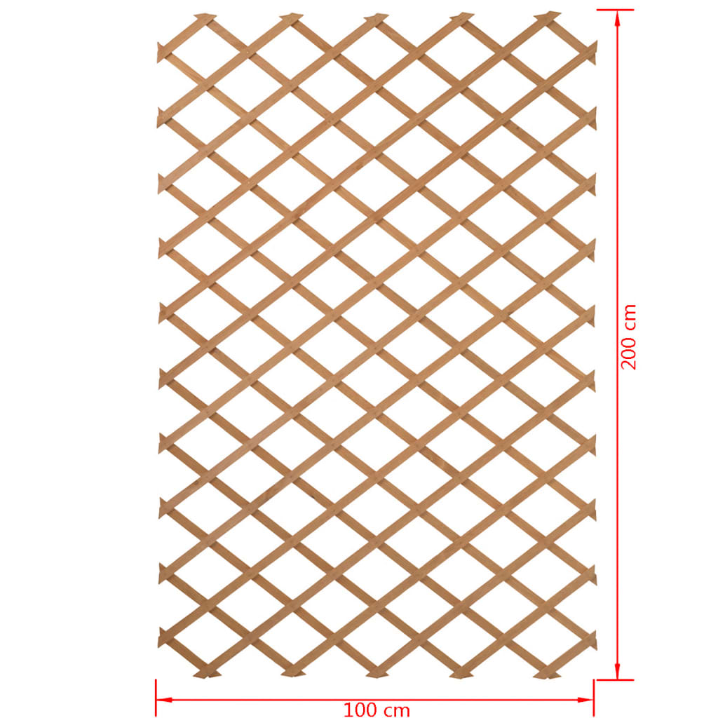 Spaljé trädgård 100x200 cm trä 6041703