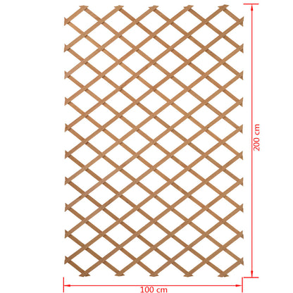 Spaljé trädgård 100x200 cm trä 6041703