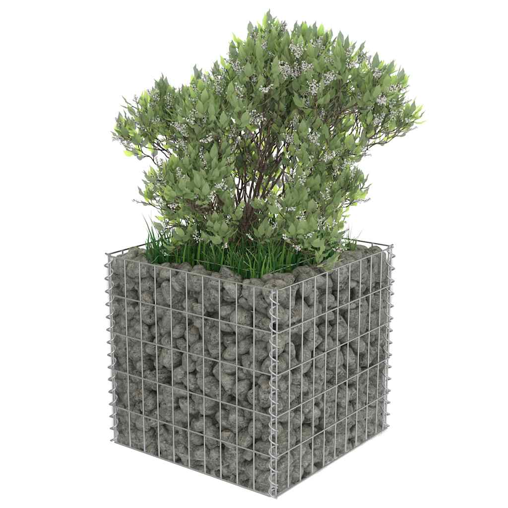 Planteringsgabion upphöjd galvaniserat stål 50x50x50 cm
