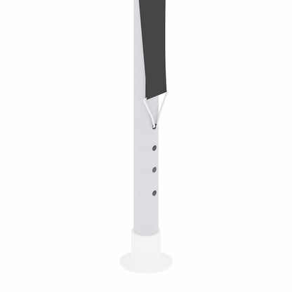 Professionellt partytält med väggar 4x4 m antracit 90 g/m²