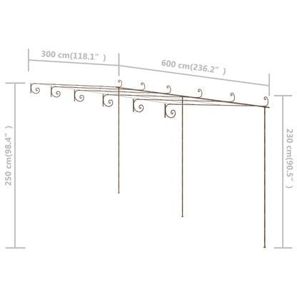 Pergola antikbrun 6x3x2,5 m järn