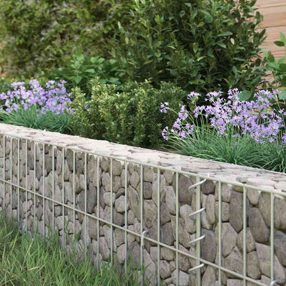 Planteringsgabion upphöjd galvaniserat stål 300x100x20 cm