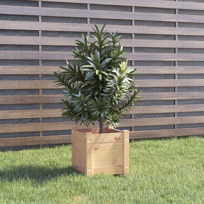 Odlingslådor 2 st 31x31x31 cm massiv furu