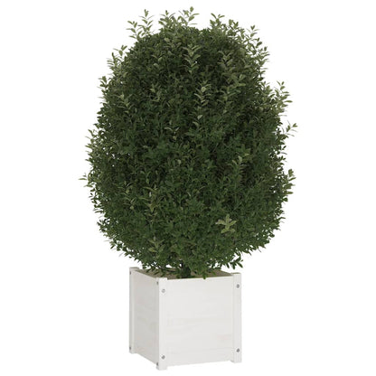 Odlingslådor 2 st vit 40x40x40 cm massiv furu