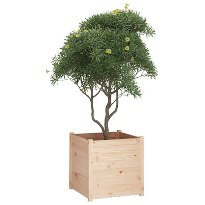 Odlingslådor 2 st 60x60x60 cm massiv furu