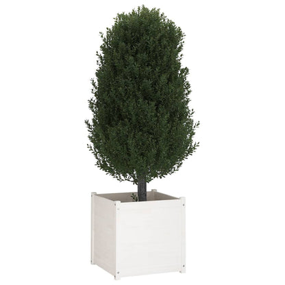 Odlingslådor 2 st vit 60x60x60 cm massiv furu