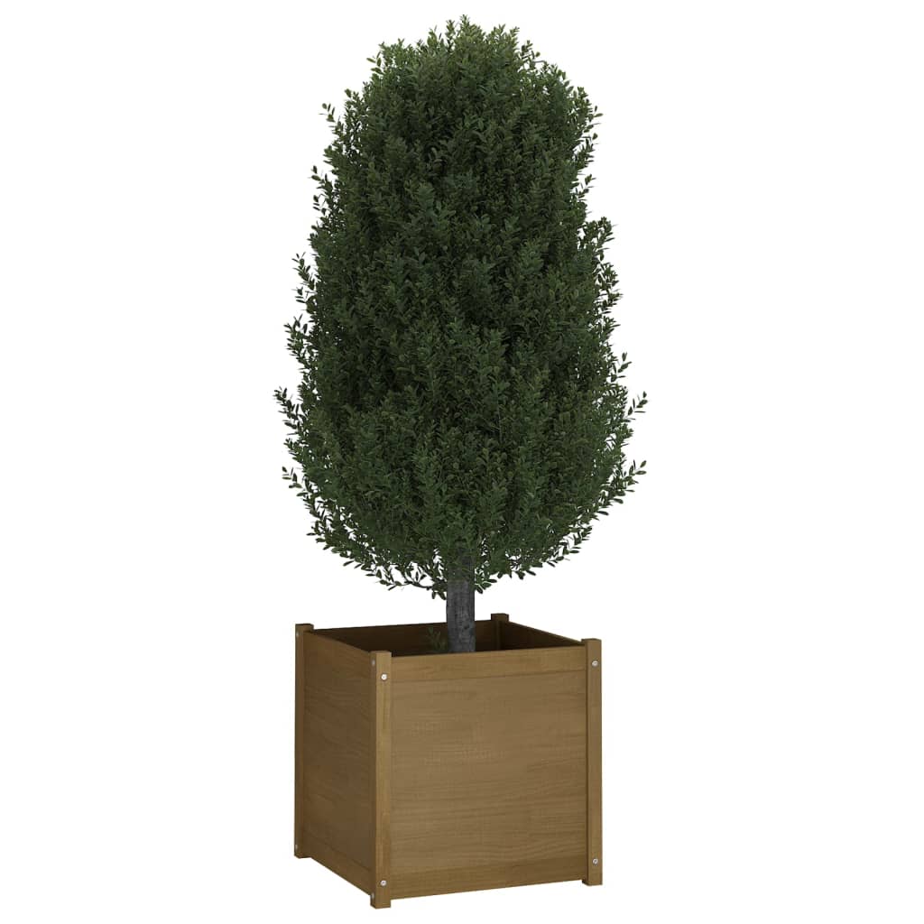 Odlingslåda 2 st honungsbrun 60x60x60 cm massiv furu