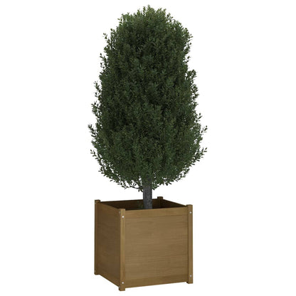 Odlingslåda 2 st honungsbrun 60x60x60 cm massiv furu