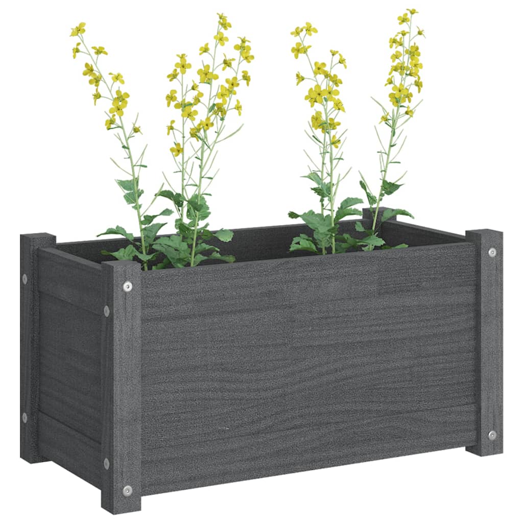 Odlingslådor 2 st grå 60x31x31 cm massiv furu