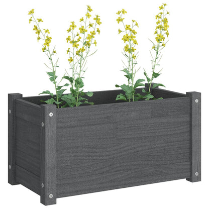 Odlingslådor 2 st grå 60x31x31 cm massiv furu