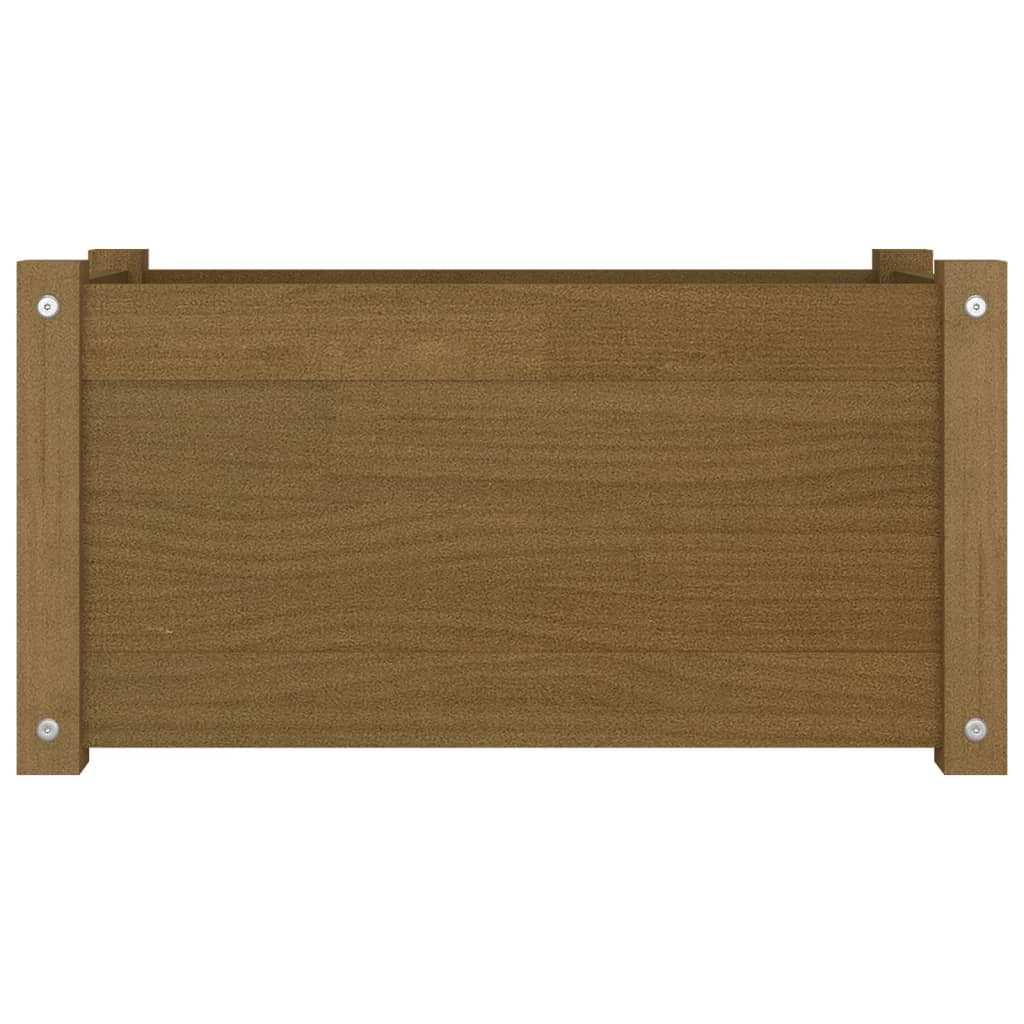 Odlingslåda honungsbrun 60x31x31 cm massiv furu