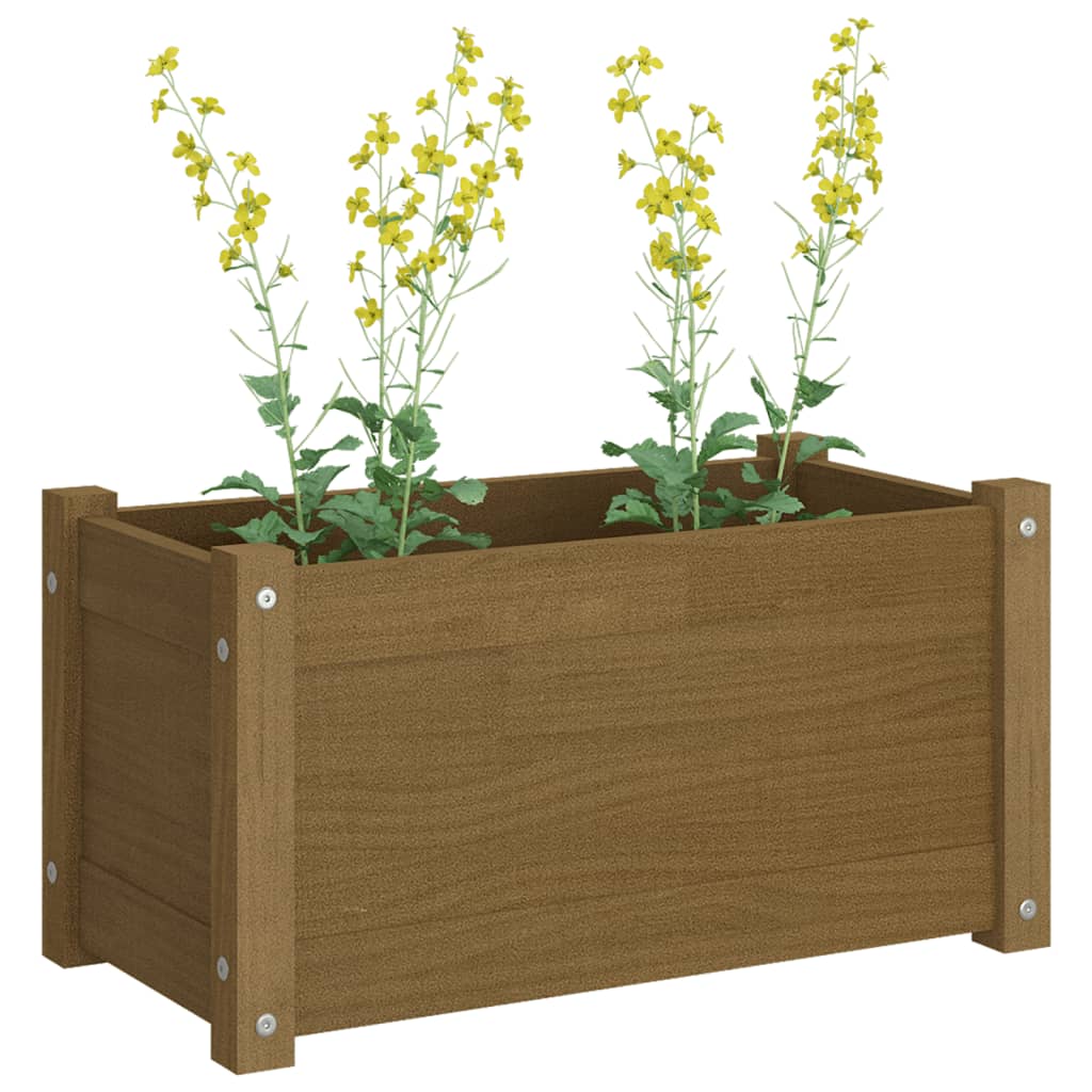 Odlingslåda honungsbrun 60x31x31 cm massiv furu
