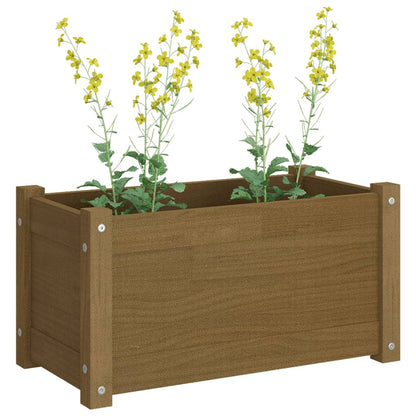 Odlingslåda honungsbrun 60x31x31 cm massiv furu