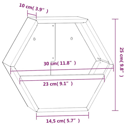 Odlingslådor för vägg 2 st rosttrögt stål 30x10x25 cm