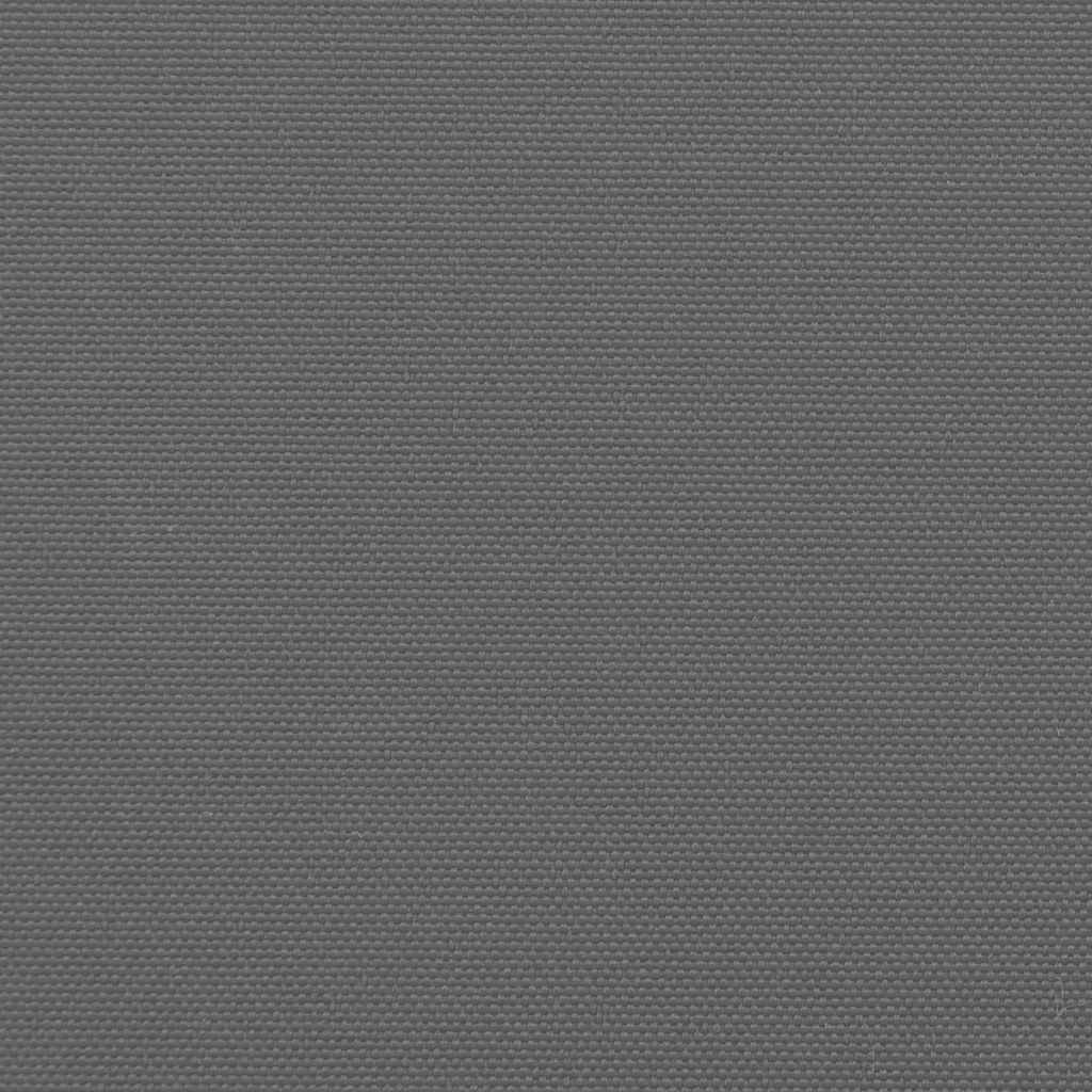 Utdragbar sidomarkis antracit 200x300 cm