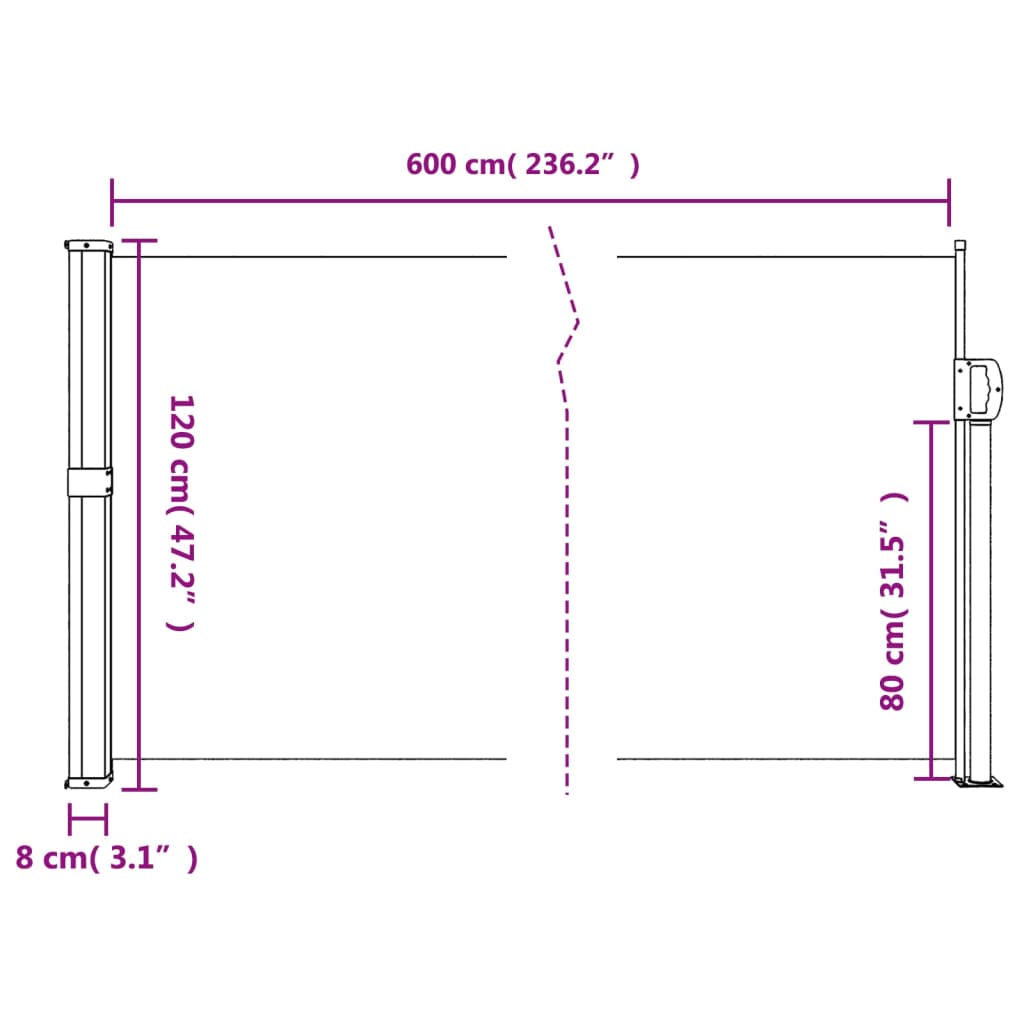 Infällbar sidomarkis svart 120x600 cm