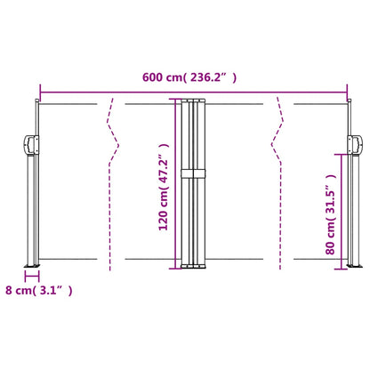 Infällbar sidomarkis svart 120x600 cm