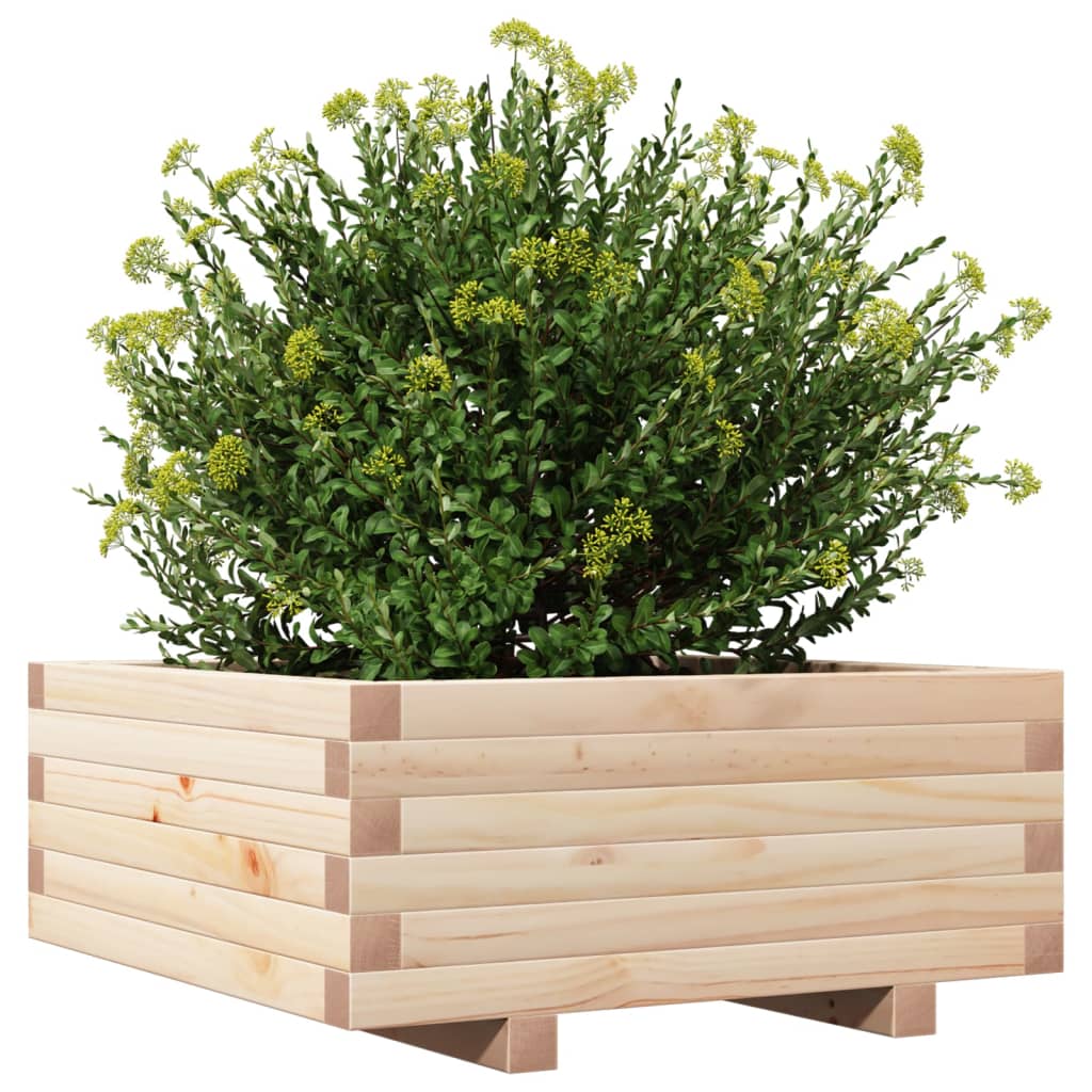 Odlingslåda 60x60x26,5 cm massivt furuträ