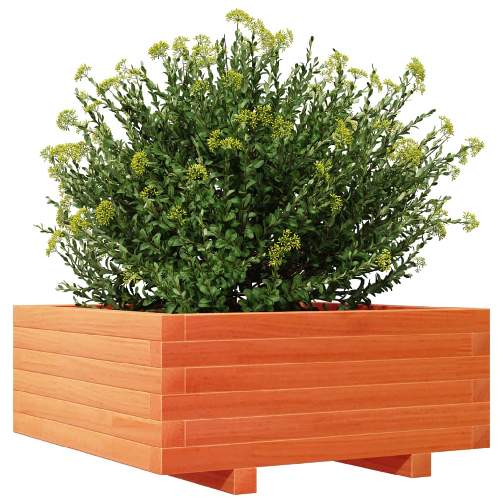 Odlingslåda vaxbrun 60x60x26,5 cm massiv furu