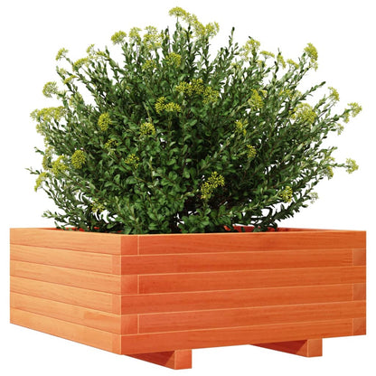 Odlingslåda vaxbrun 60x60x26,5 cm massiv furu