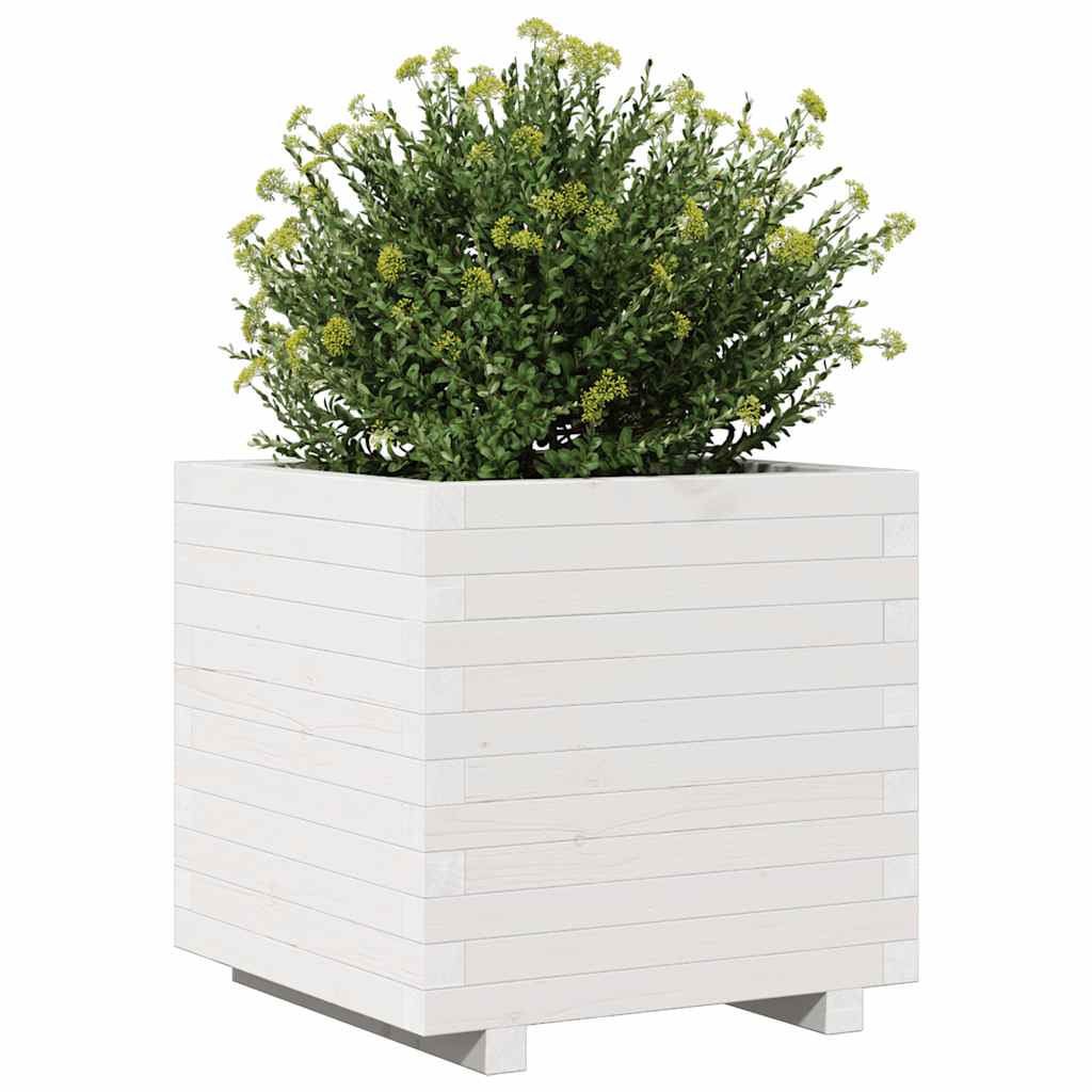 Odlingslåda vit 50x50x49,5 cm massiv furu