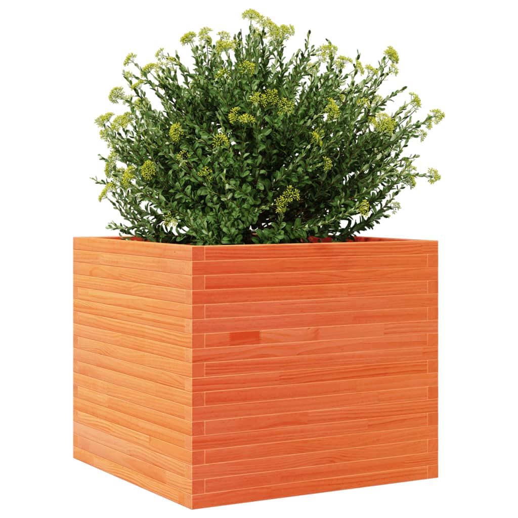Odlingslåda vaxbrun 80x80x68,5 cm massiv furu
