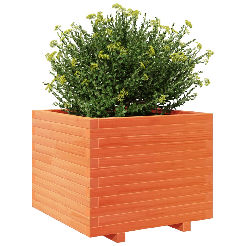 Odlingslåda vaxbrun 60x60x49,5 cm massiv furu