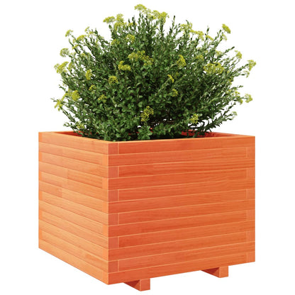Odlingslåda vaxbrun 60x60x49,5 cm massiv furu