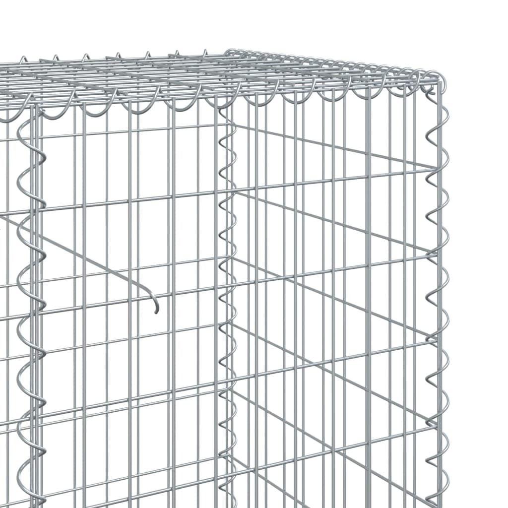 Gabionkorg med skydd 200x50x100 cm galvaniserat järn