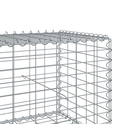 Gabionkorg med skydd 300x100x50 cm galvaniserat järn