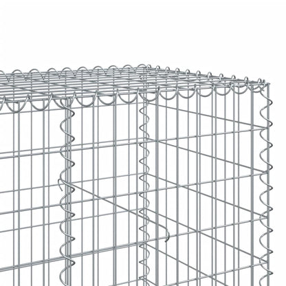 Gabionkorg med skydd 200x100x100 cm galvaniserat järn