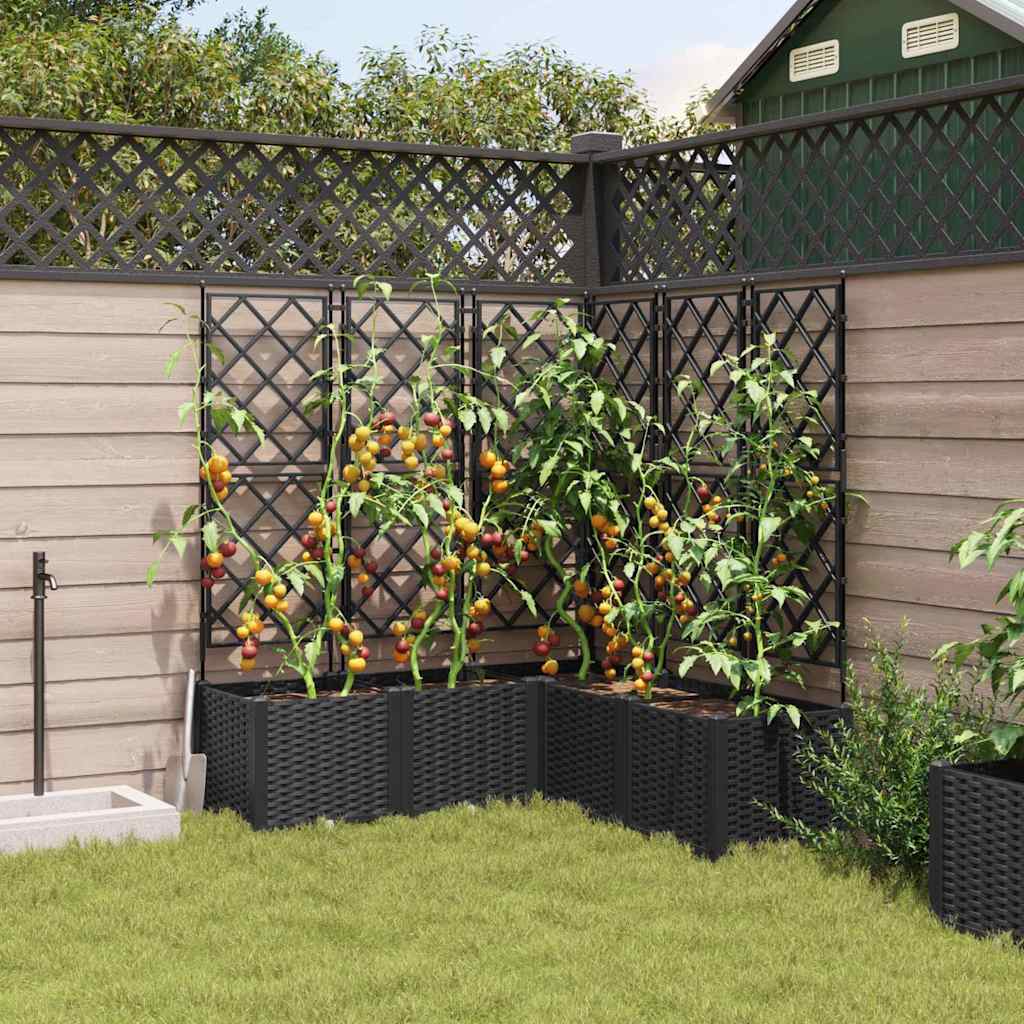 Trädgårdsplanterare 5 pcs Svart 120 x 120 x 143 cm Plast