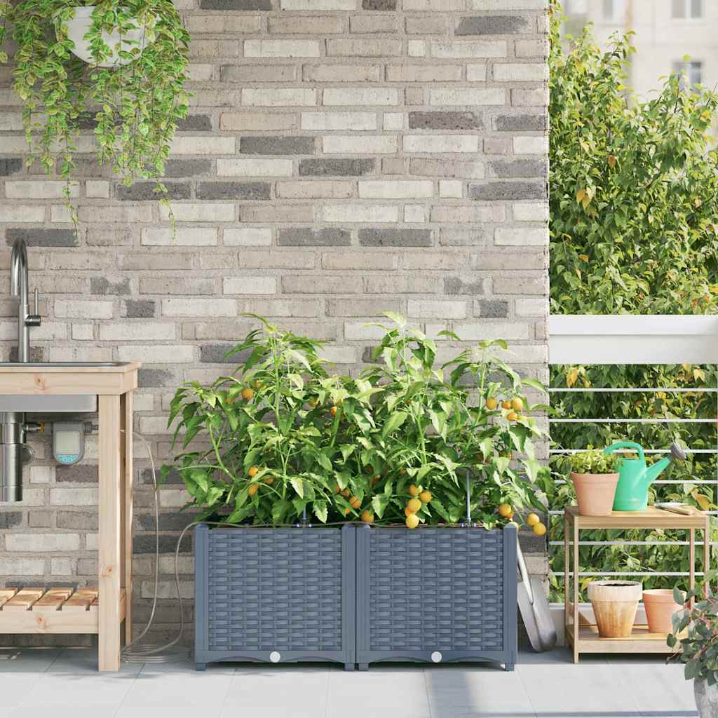 Trädgårdsplanterare 2 pcs Ljusgrå 80 x 40 x 37,5 cm Plast