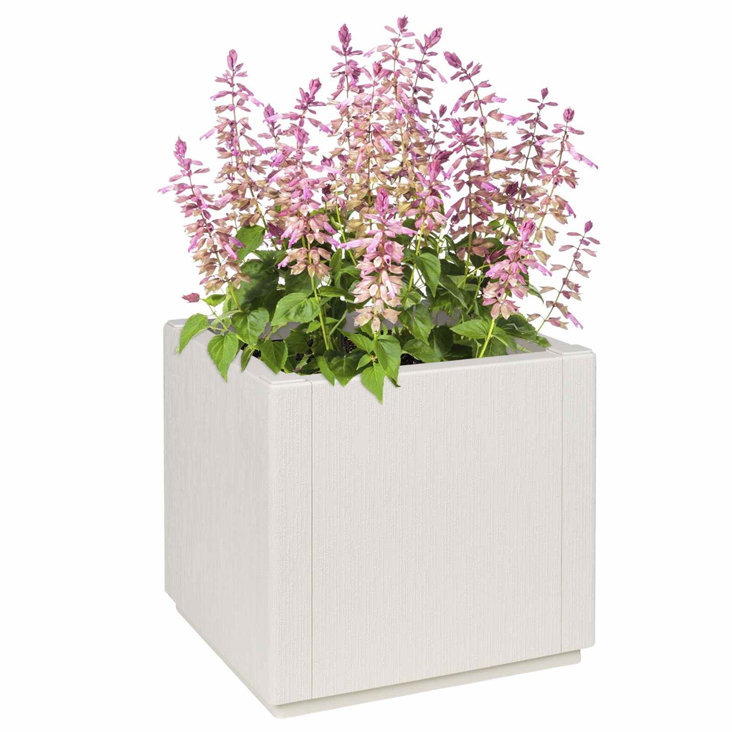 Trädgårdsblomlåda Vit 36 x 36 x 35 cm PP
