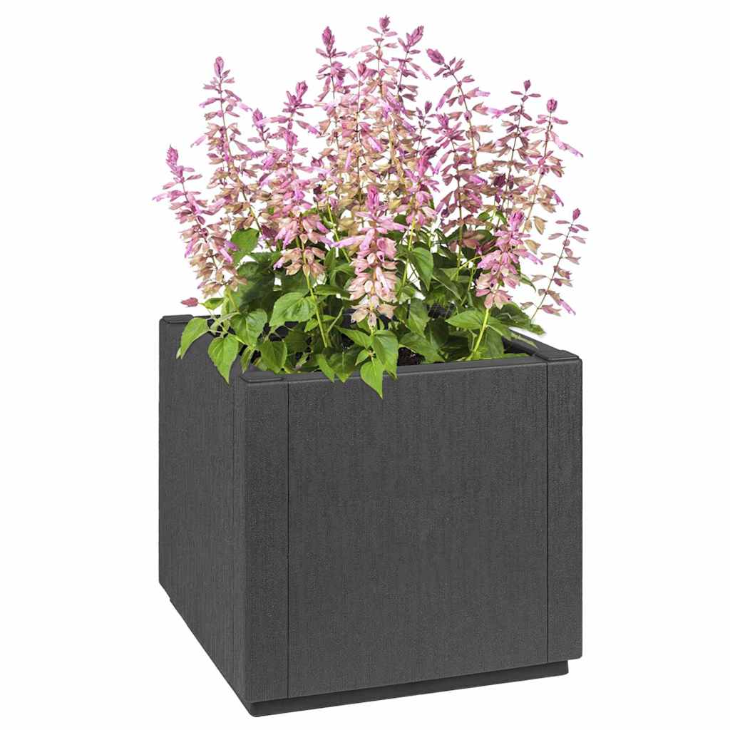 Trädgårdsblomlåda Mörkgrå 36 x 36 x 35 cm PP
