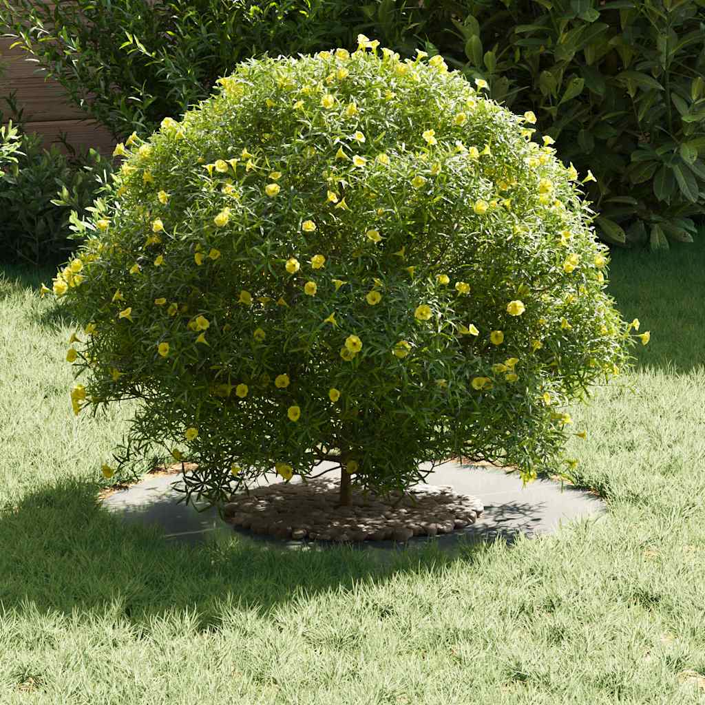 lämplig för Flat Trädringar 5 pcs Silver Ø30 / 60 cm