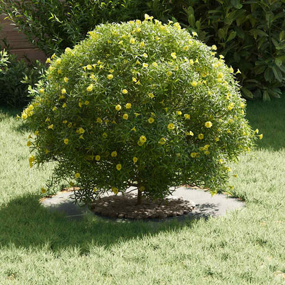 lämplig för Flat Trädringar 5 pcs Silver Ø30 / 60 cm