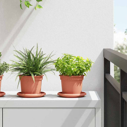 Rund Blomkruka 6 pcs Murgrön Ø 12,5 x 10 cm Plast