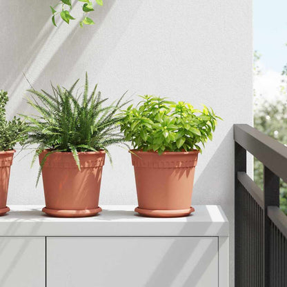 Rund Blomkruka 6 pcs Murgrön Ø 19 x 16 cm Plast
