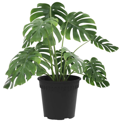 Rund Blomkruka 24 pcs Svart Ø 17 x 14 cm Plast