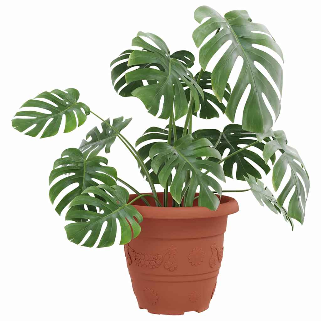 Rund Blomkruka 6 pcs Murgrön Ø 22 x 18 cm Plast