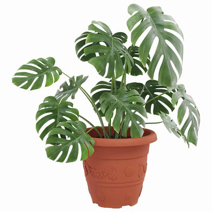 Rund Blomkruka 6 pcs Murgrön Ø 26 x 21.5 cm Plast