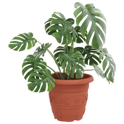 Rund Blomkruka 6 pcs Murgrön Ø 26 x 21.5 cm Plast