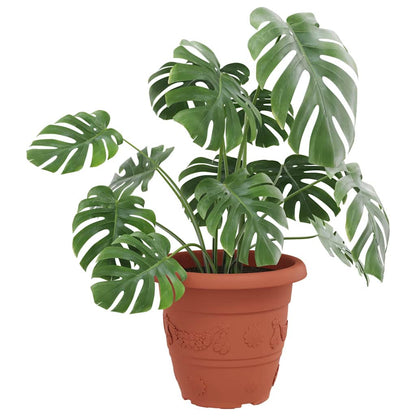 Rund Blomkruka 6 pcs Murgrön Ø 26 x 21.5 cm Plast