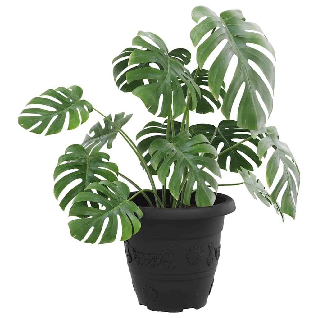 Rund Blomkruka 24 pcs Svart Ø 26 x 21.5 cm Plast