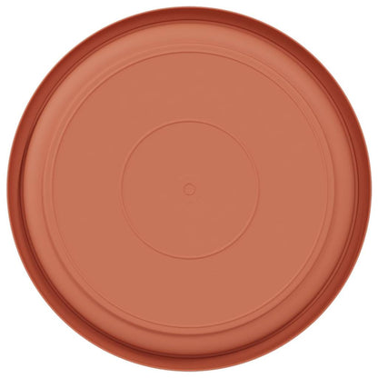 Rund Blomkruka 6 pcs Murgrön Ø 19 x 2 cm Plast