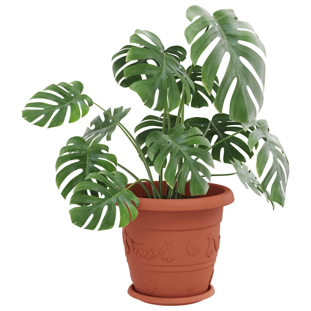 Rund Blomkruka 6 pcs Murgrön Ø 23,5 x 2,5 cm Plast