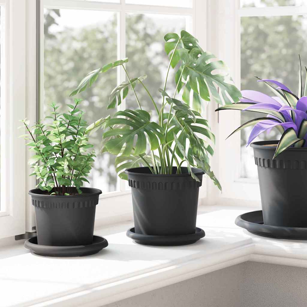 Rund Blomkruka 6 pcs Svart Ø 14 x 2 cm Plast